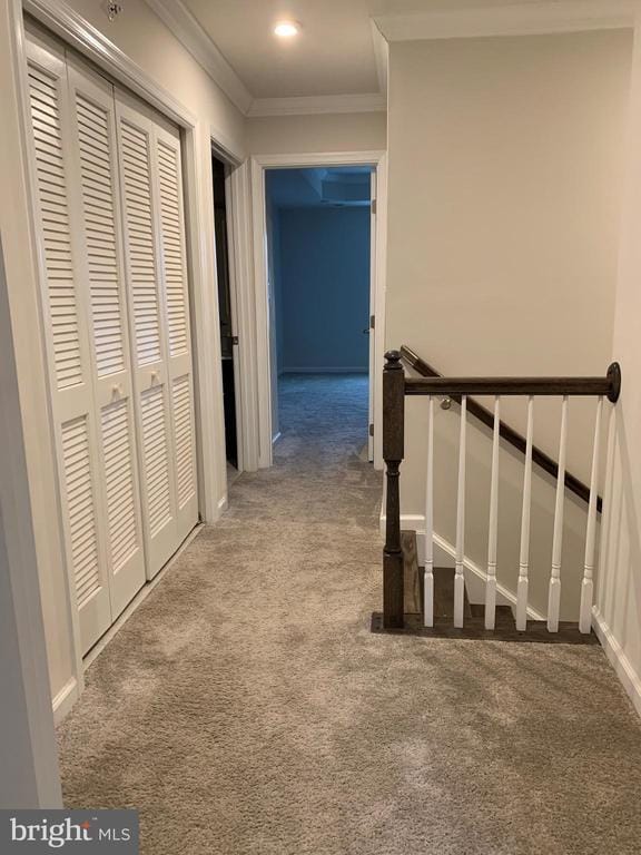 Building Photo - 111 Almond Dr