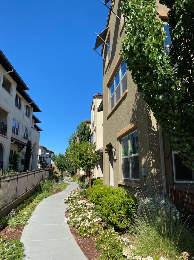 Building Photo - Livermore, Gorgeous Townhome 4 bed/3.5 bat...