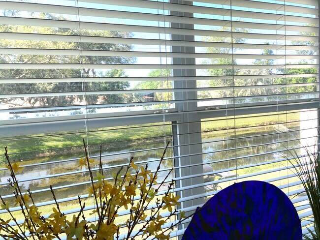 Building Photo - 3850 Virga Blvd