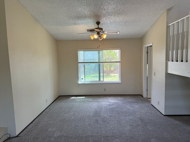 Building Photo - 1003 Blackspur Ct