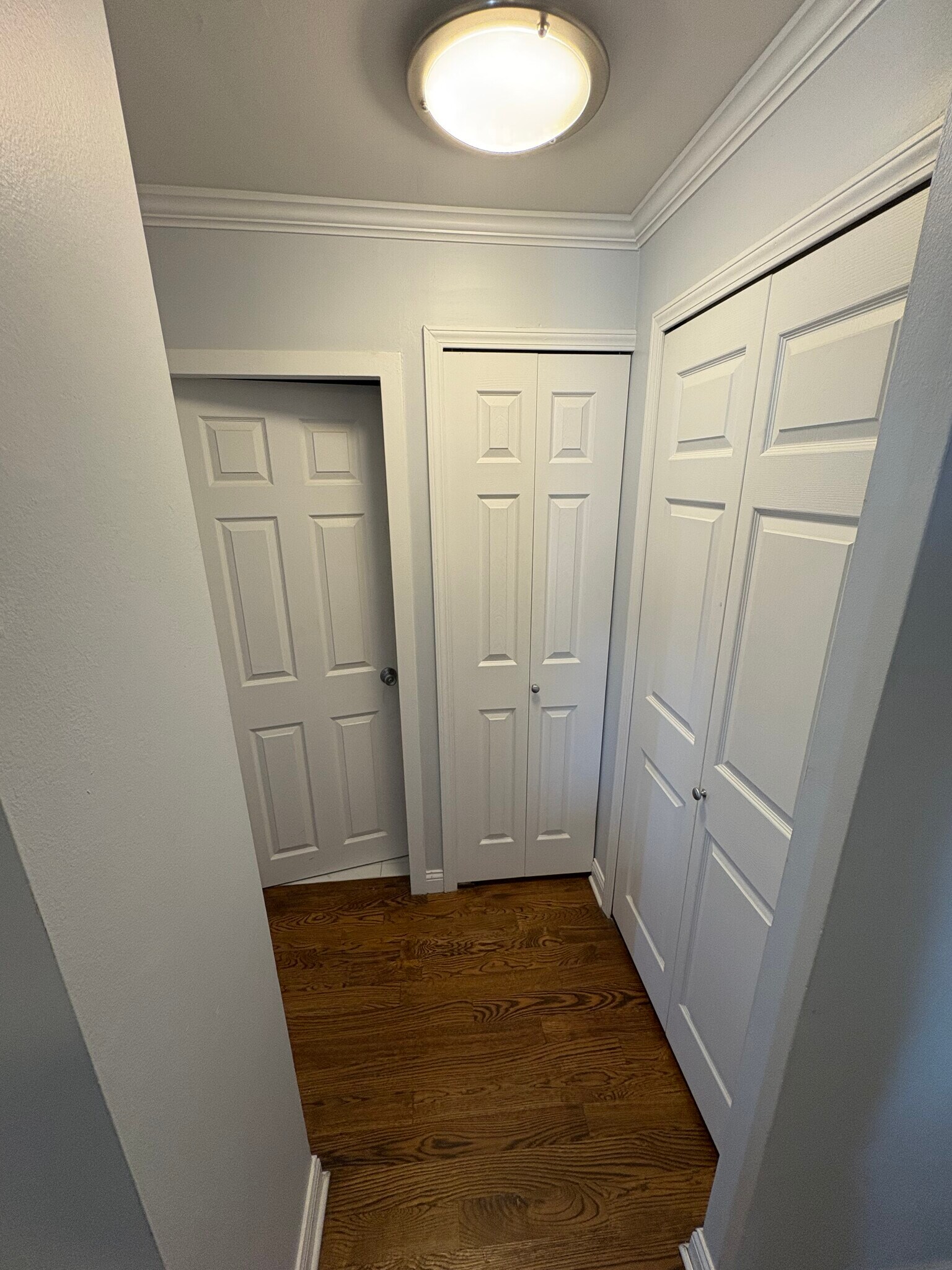 two front closets - 1360 N Sandburg Ter