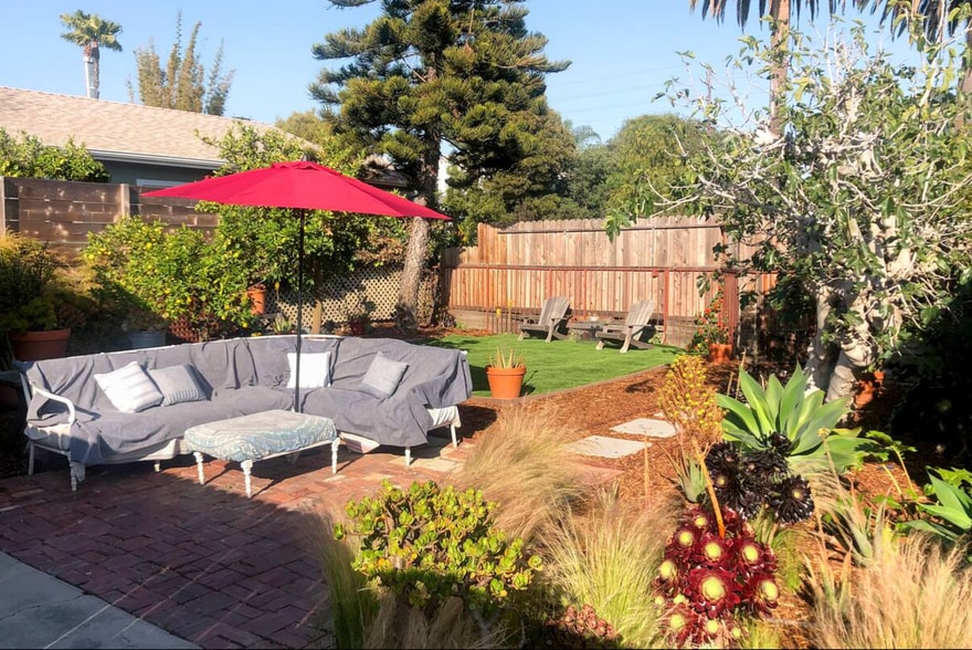 Backyard with lime, fig and other fruit trees - 829 Superba Ave