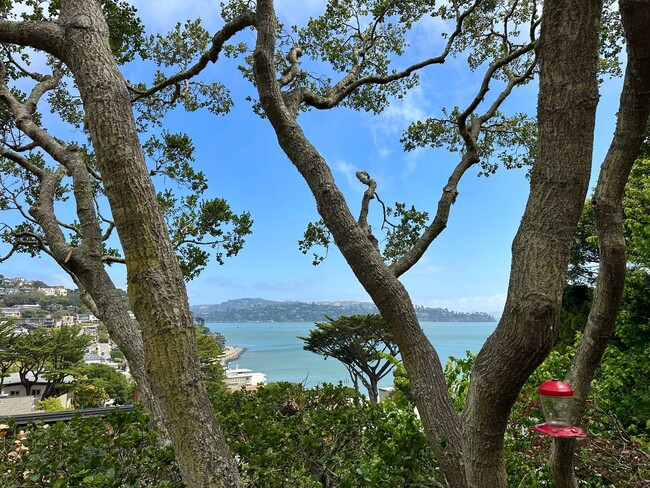 Building Photo - Stunning Sausalito Retreat with Bay Views & Private Meadow