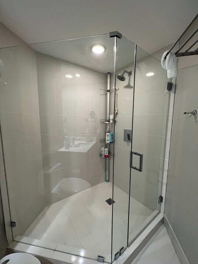 guest bathroom - 45 SW 9th St