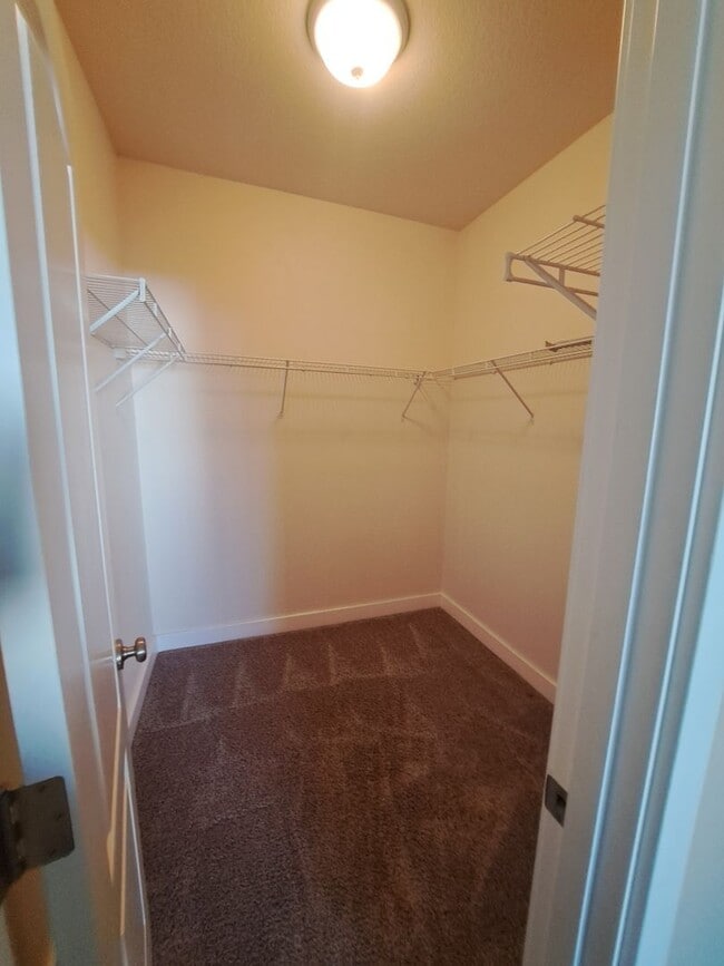 Building Photo - Secluded 5 bedroom Amazing Views Green Space