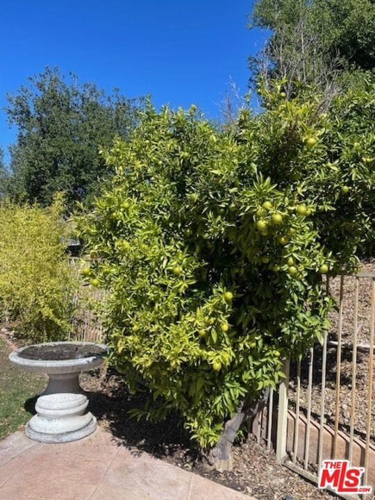 Building Photo - 11040 Renaissance Dr