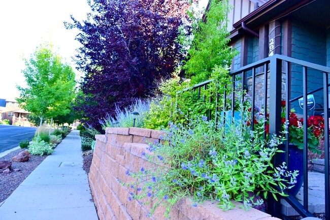 Building Photo - 2943 S Pardo Calle