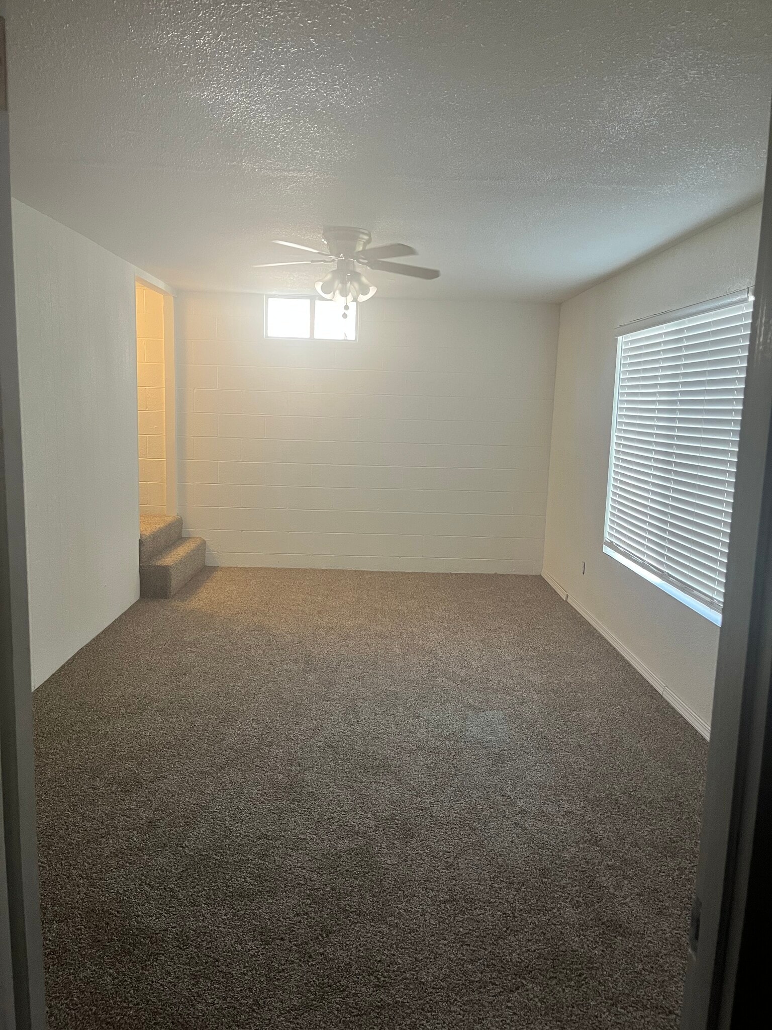 Family room bottom floor - 600 Terry St