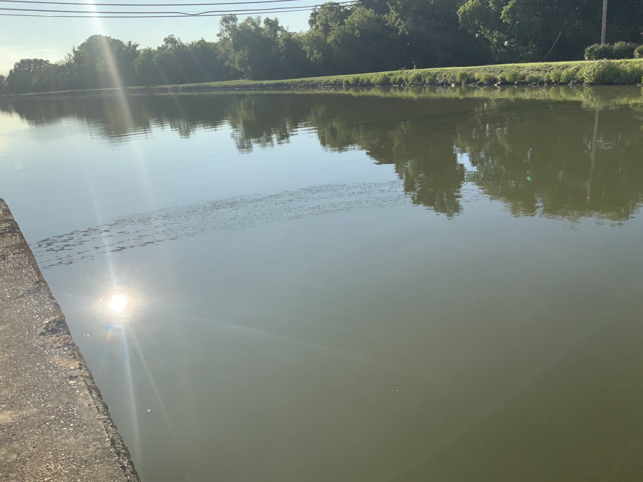 Building Photo - 4444 Main St