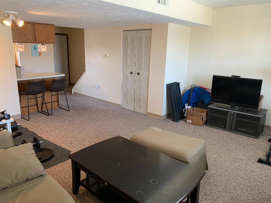 Living room/bar area - 3268 Niagara Sq