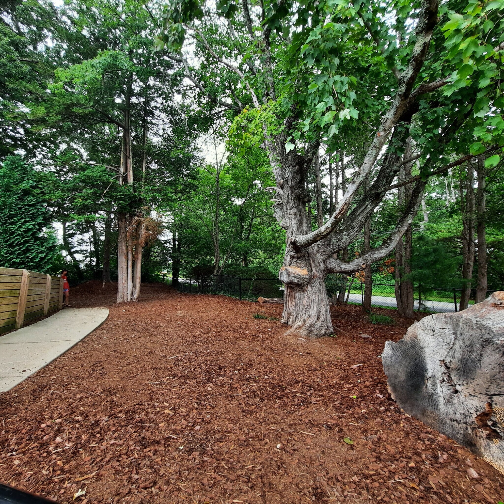Community dog park - 1025 Baldwin Commons Dr