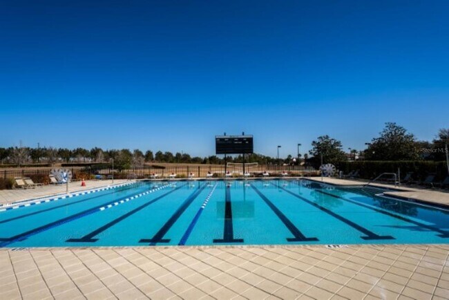 Building Photo - 21397 Snowy Orchid Terrace