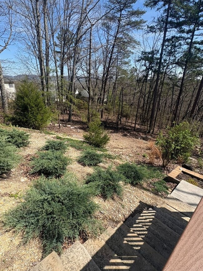 Building Photo - 4 Bedroom 3 Bath House