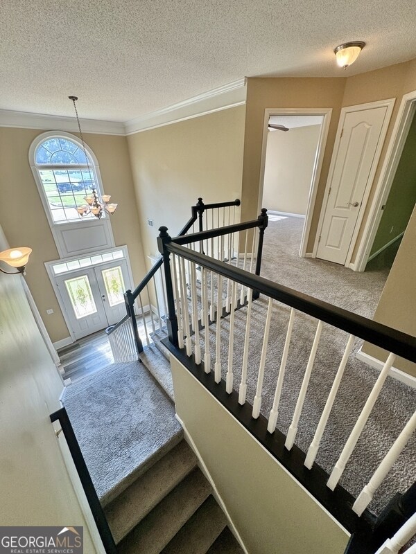Building Photo - 431 Whitewater Tr