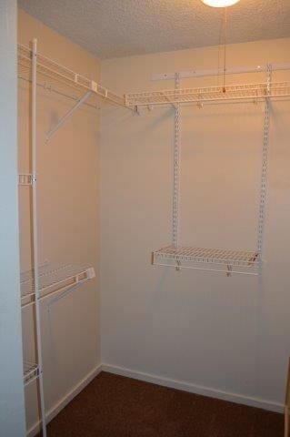 Building Photo - Myrtletown! Spacious 4 bedroom, pet friendly