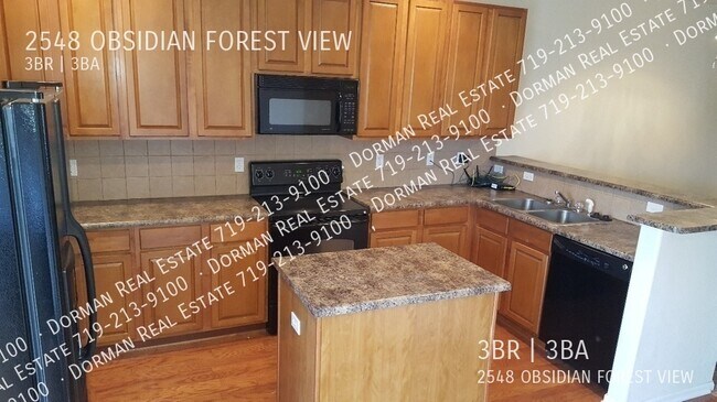 Building Photo - 2548 Obsidian Forest Vw