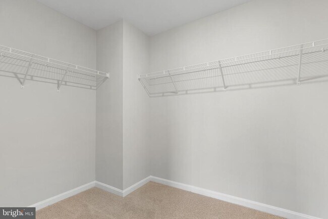 Building Photo - 3210 White Tail Dr