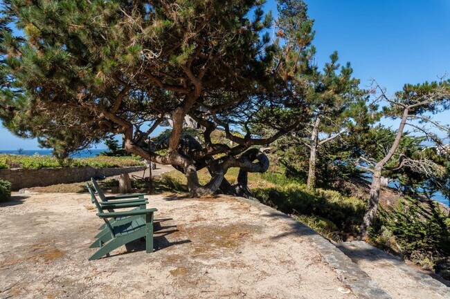 Building Photo - Bonnie's Point | Home Next to Point Lobos State Natural Reserve
