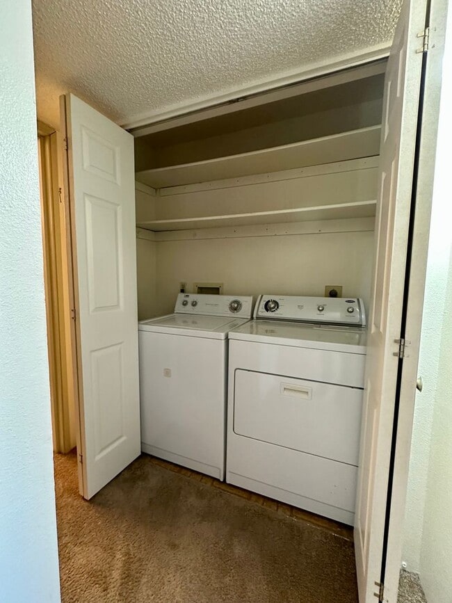 Building Photo - Spacious and Bright Top-Floor Apartment wi...