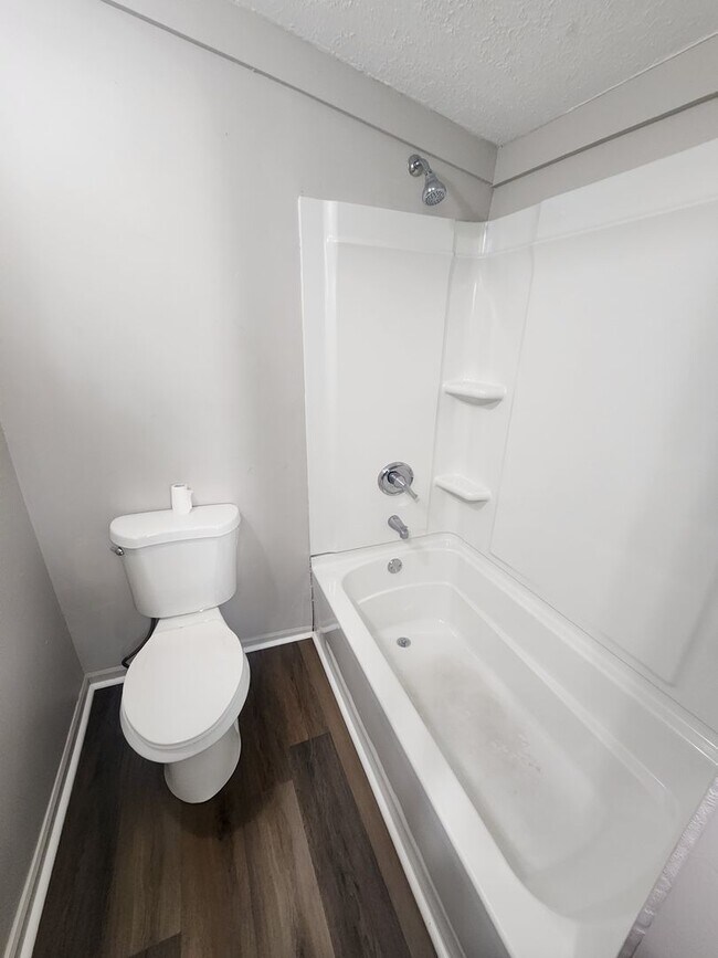 Building Photo - Freshly painted 1 bedroom 1 bath first floor apartment with updated floors!