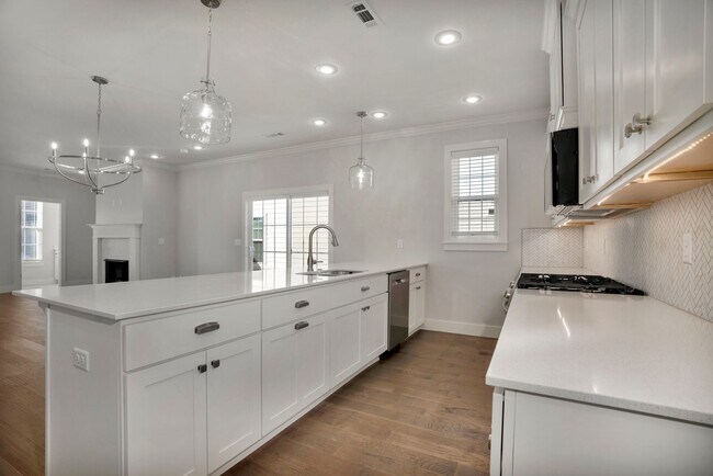Building Photo - Beautiful 4 Bed 4.5 Bath New construction Home off of Rupple!! Pre-Leasing for Summer!