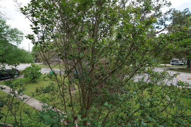 Building Photo - 3309 Lawrence St