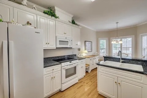 Building Photo - 115 Willow Oak Loop