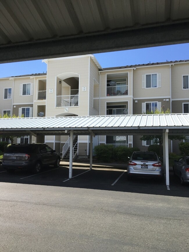 Primary Photo - AVAILABLE NOW Spacious condo near shopping