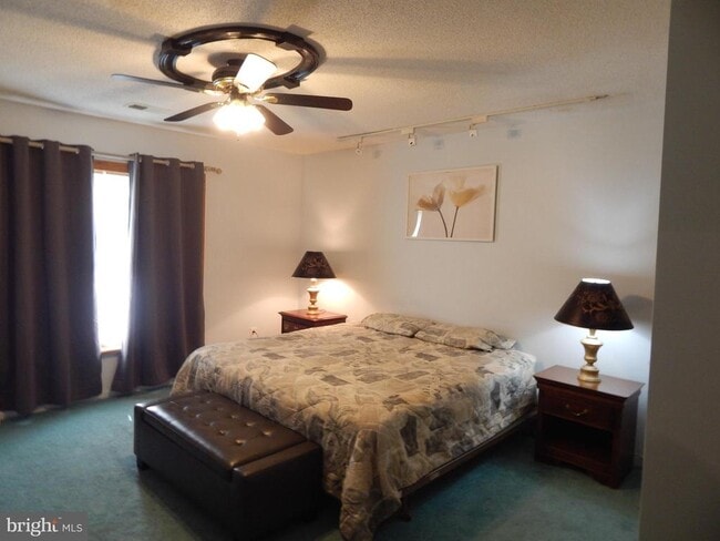 Building Photo - 2553 Warm Springs Rd