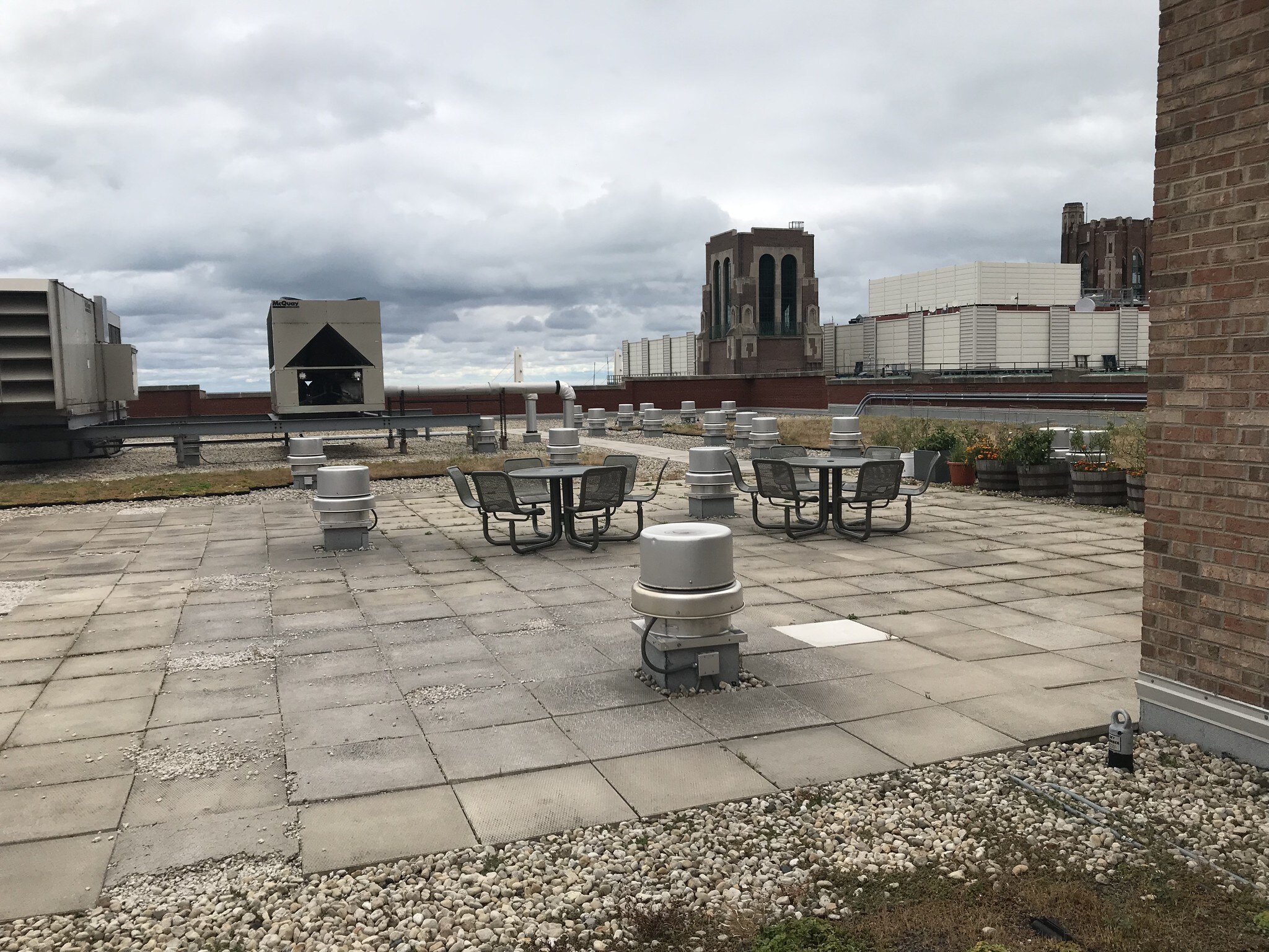 Green rooftop - 320 E 21st St