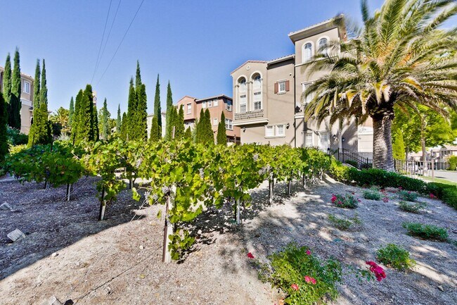 Building Photo - Modern Communication Hill Townhome | Panoramic Mountain Views