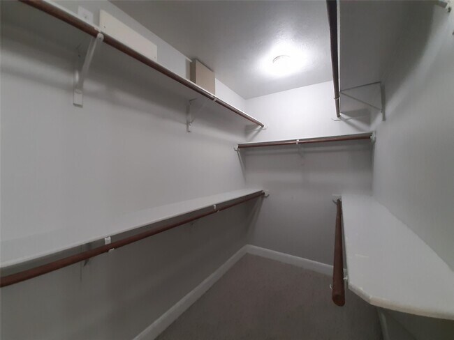 Building Photo - 2945 Sandcastle Ln