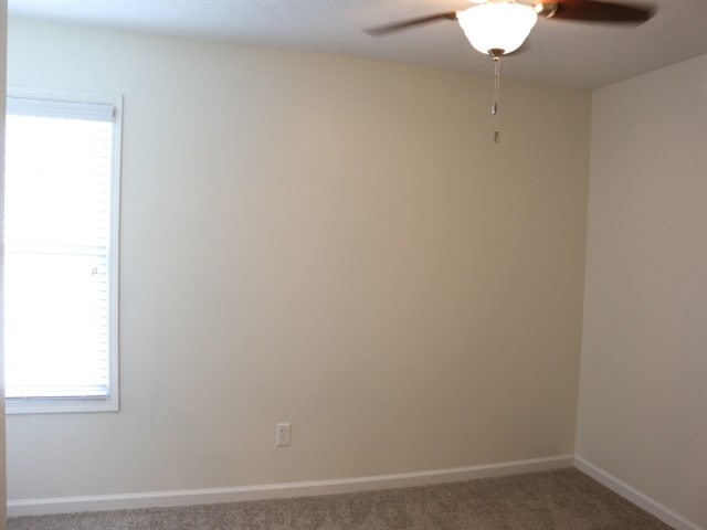 Building Photo - 2021 Belmont Dr