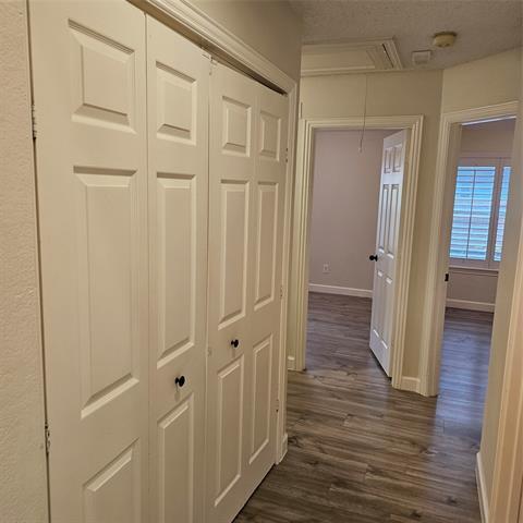 Building Photo - 2817 Oleander Dr