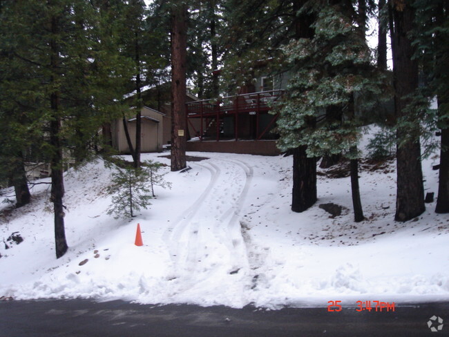 Cabin's Driveway - 31474 Pleasant Dr