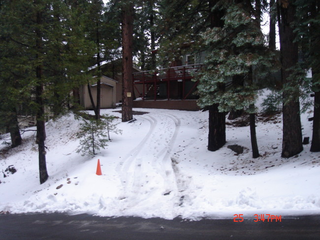 Cabin's Driveway - 31474 Pleasant Dr