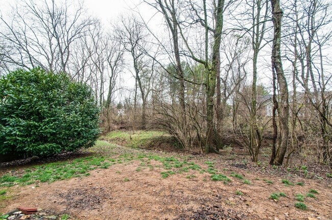 Building Photo - 3109 Harpeth Springs Dr