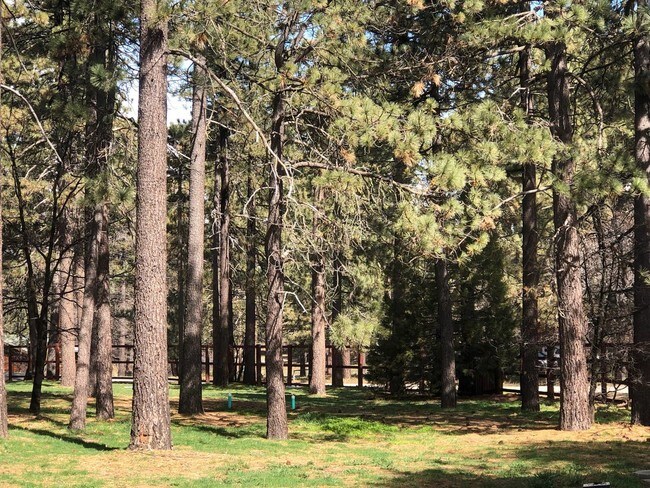 Building Photo - 9849 Sunrise Hwy