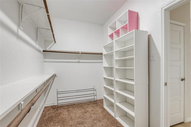 Building Photo - 905 Philadelphia St