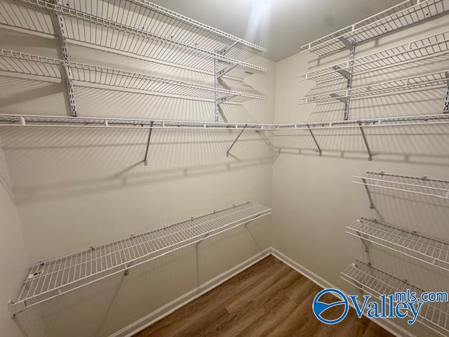 Building Photo - 236 Misty Cove Ct