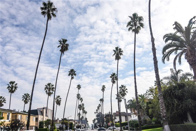 Building Photo - 811 6th St