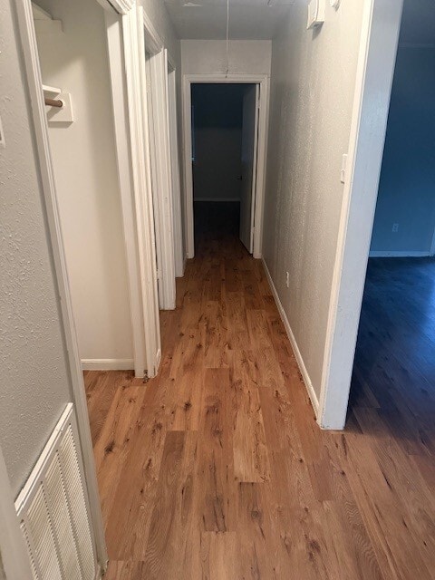 Hallway - 3008 Longleaf Dr