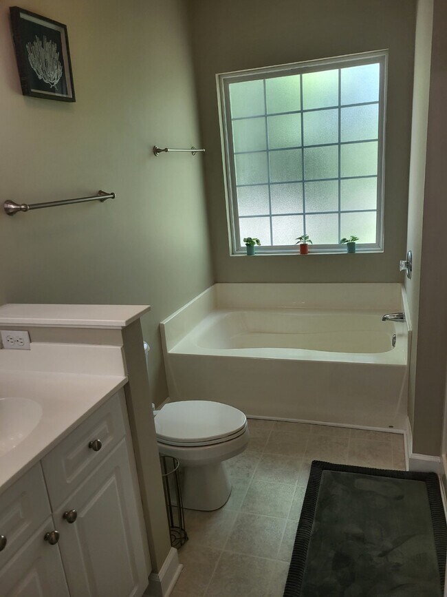 Building Photo - 407 S Elgin Ct