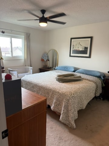 Building Photo - 501 Corte Sol