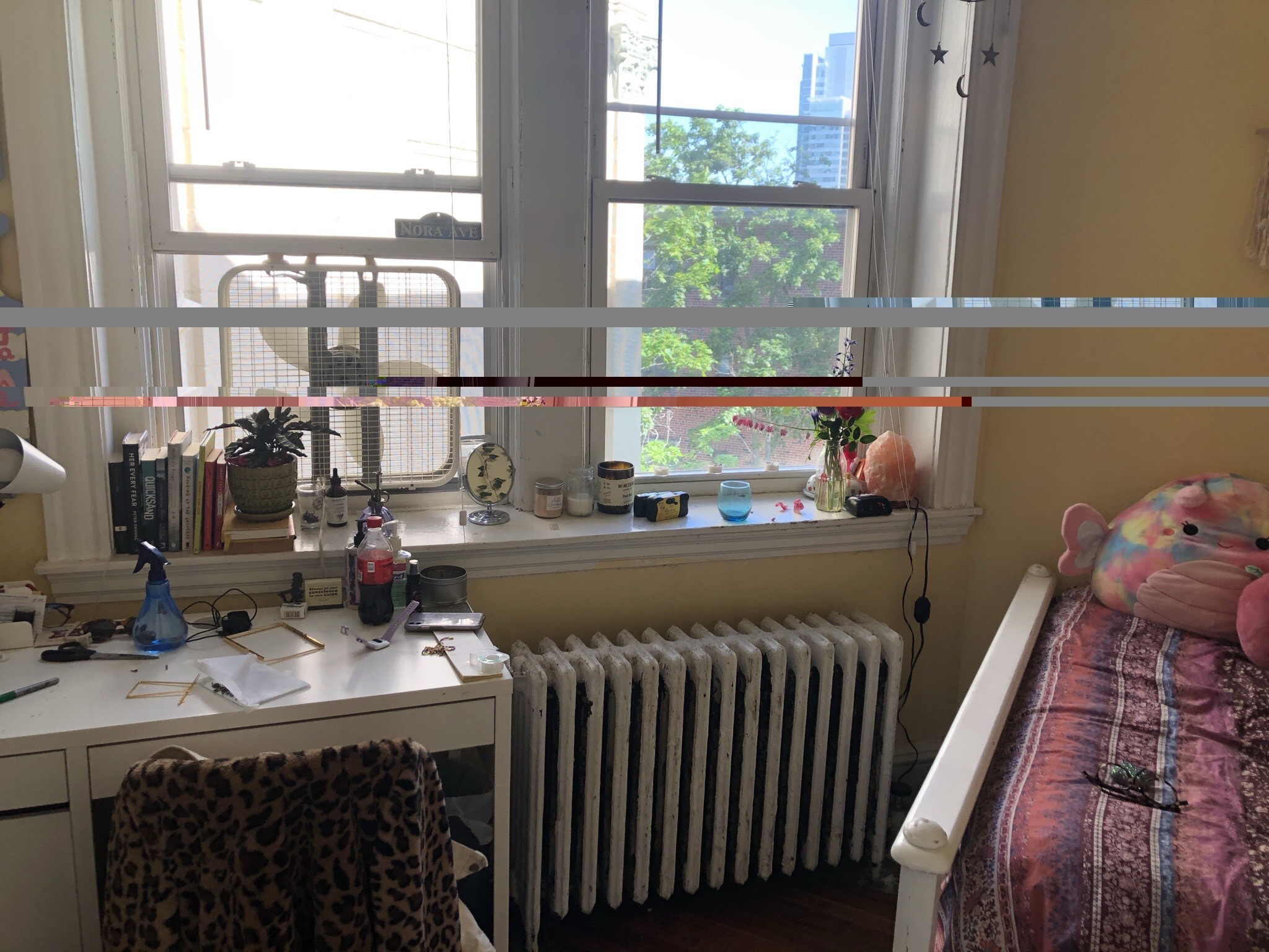 Building Photo - 76 Egmont St