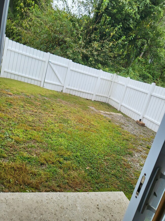 Back Yard - 22 Allison Pl