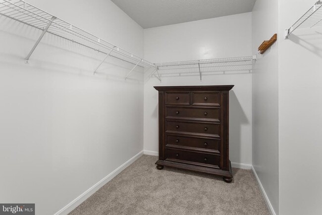 Building Photo - 8220 Silverton Ct