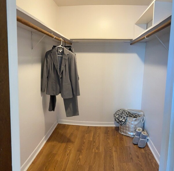 Bedroom, Walk In Closet - 260 E Lake St