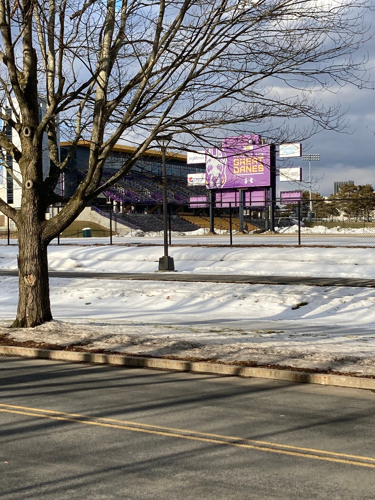 Campus view from backyard - 1237 Western Ave