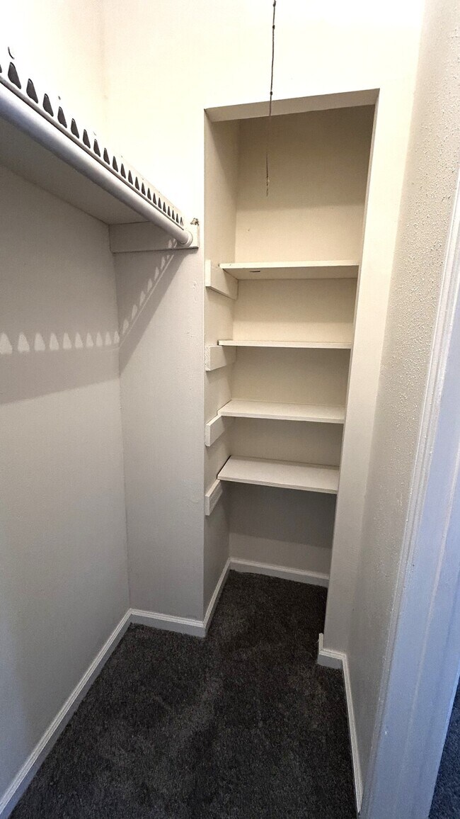 Building Photo - 3128 Scotch Moss Ln